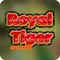 Royal Tiger