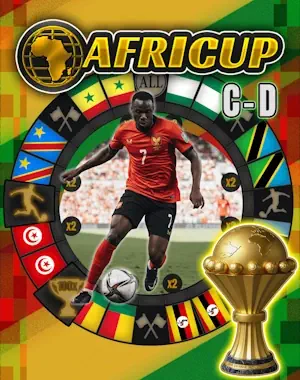 Africup CD Spinner