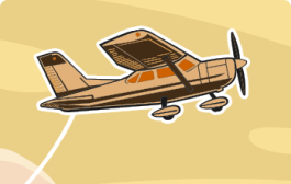 Safari Flight